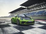 Porsche 911 GT3 RS 2018 года (WW)